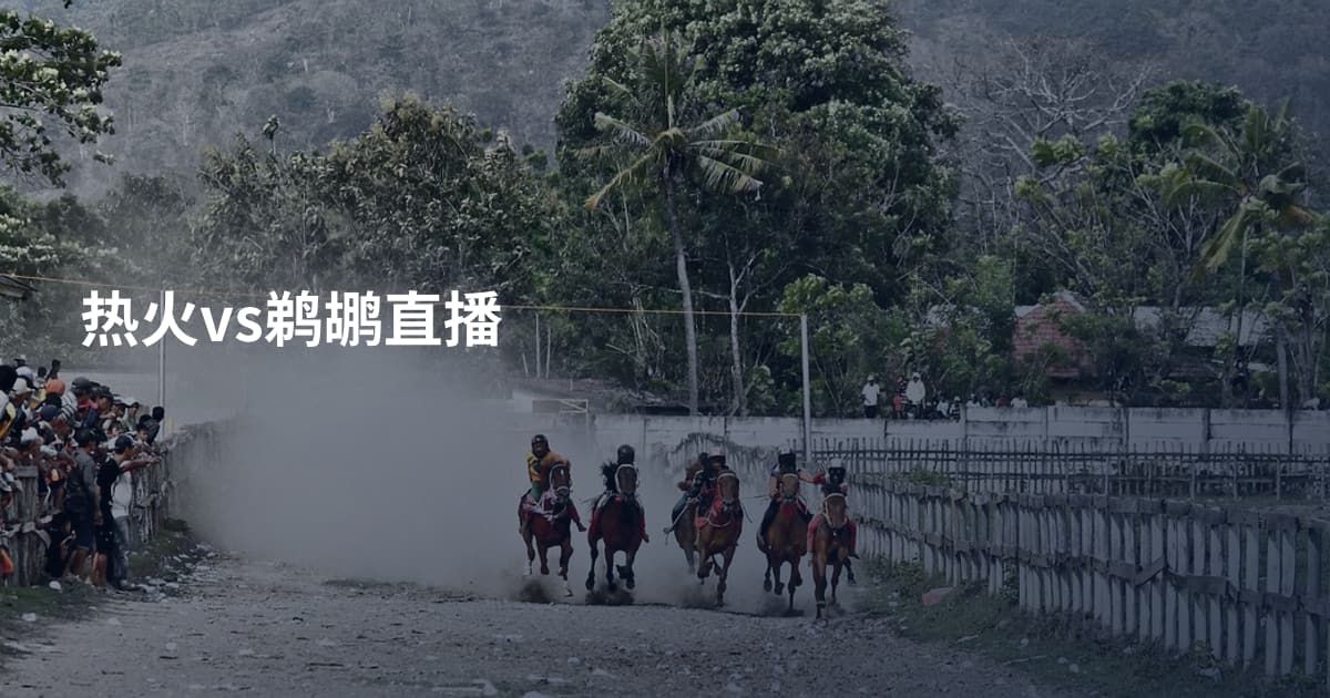 热火vs鹈鹕直播