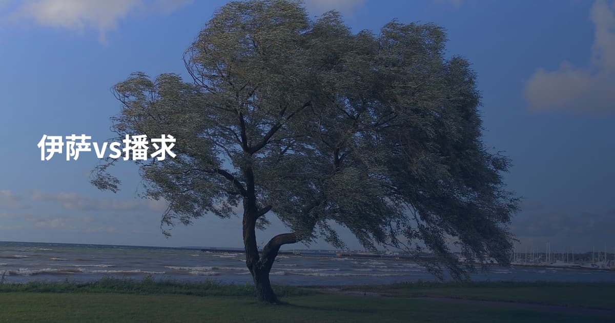 伊萨vs播求