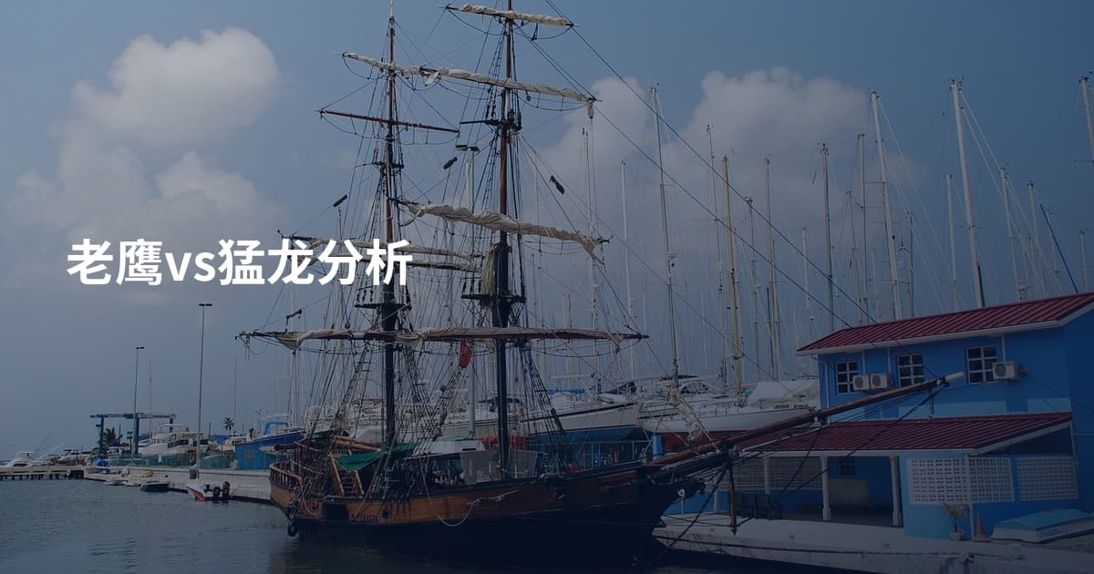 老鹰vs猛龙分析