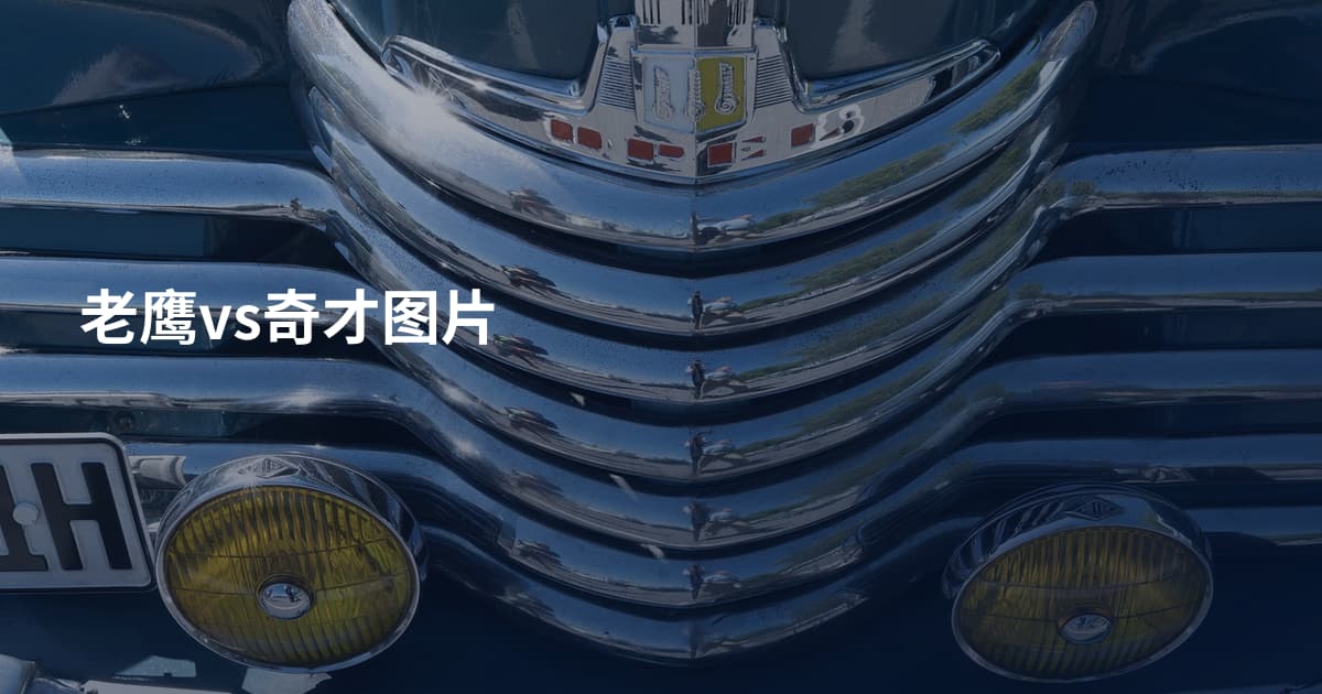 老鹰vs奇才图片