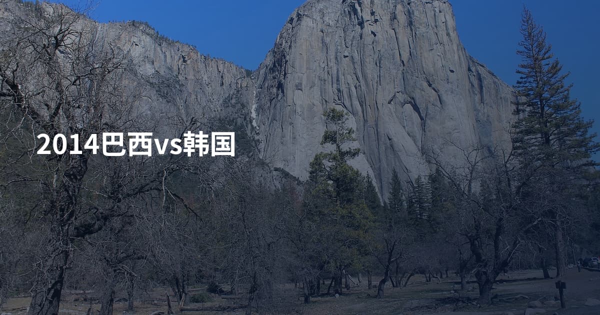 2014巴西vs韩国