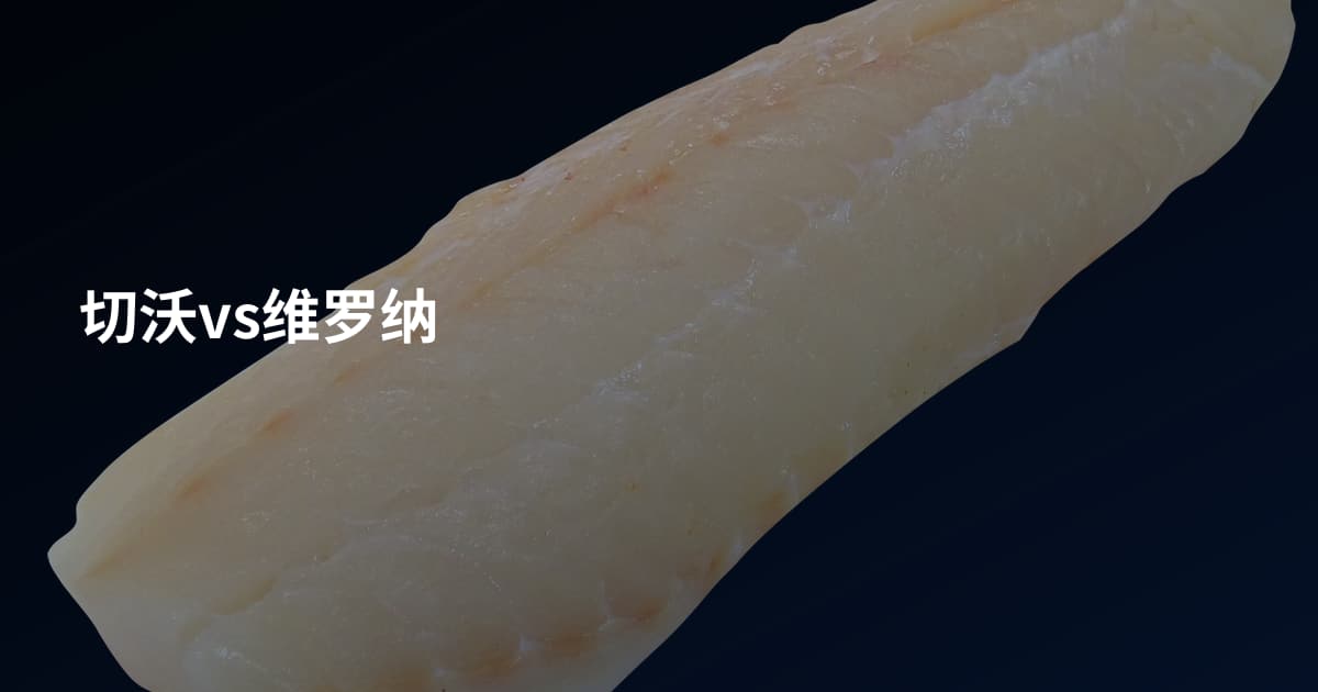 切沃vs维罗纳