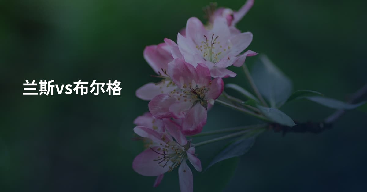 兰斯vs布尔格