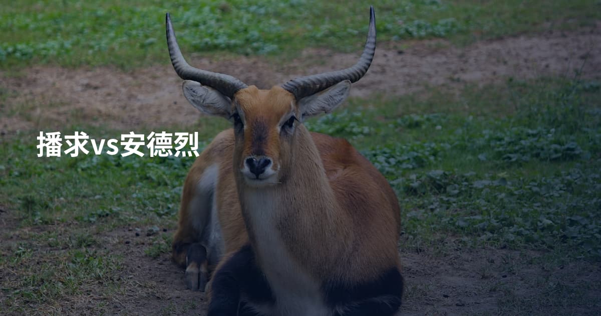 播求vs安德烈