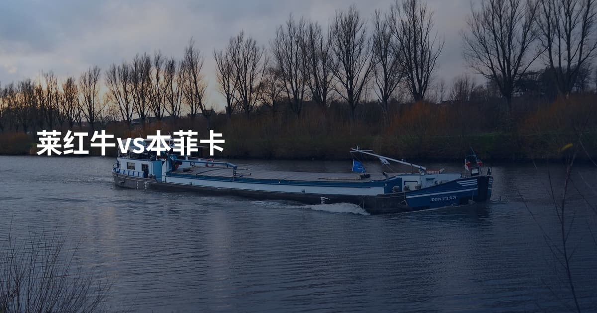 莱红牛vs本菲卡