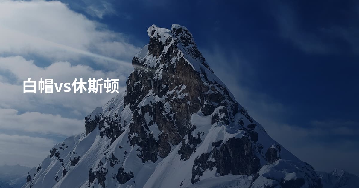 白帽vs休斯顿
