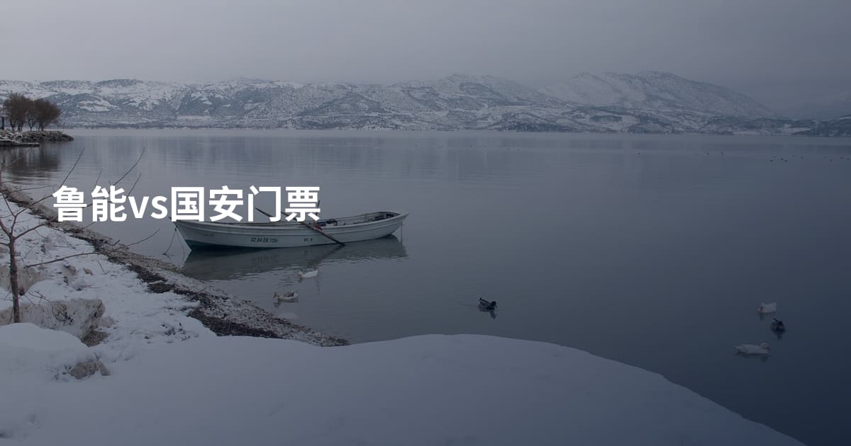 鲁能vs国安门票