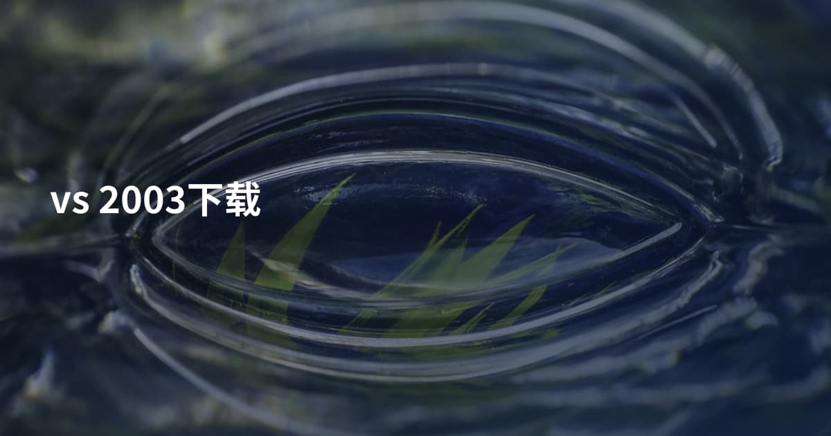 vs 2003下载