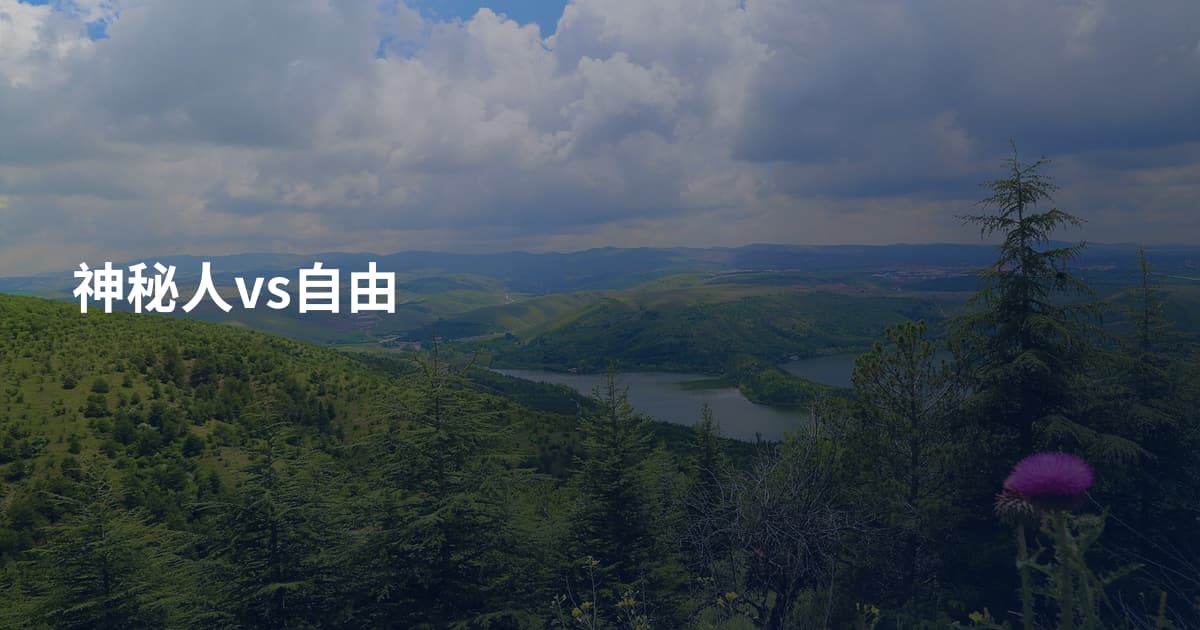 神秘人vs自由
