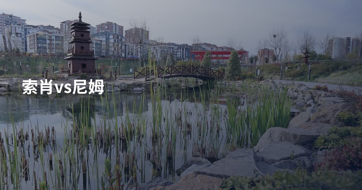 索肖vs尼姆