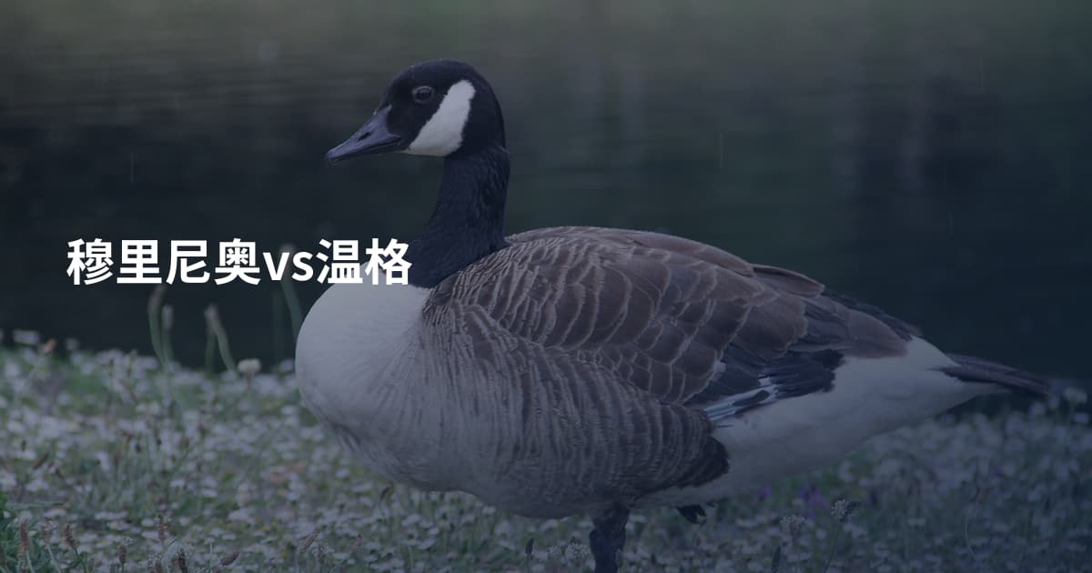 穆里尼奥vs温格
