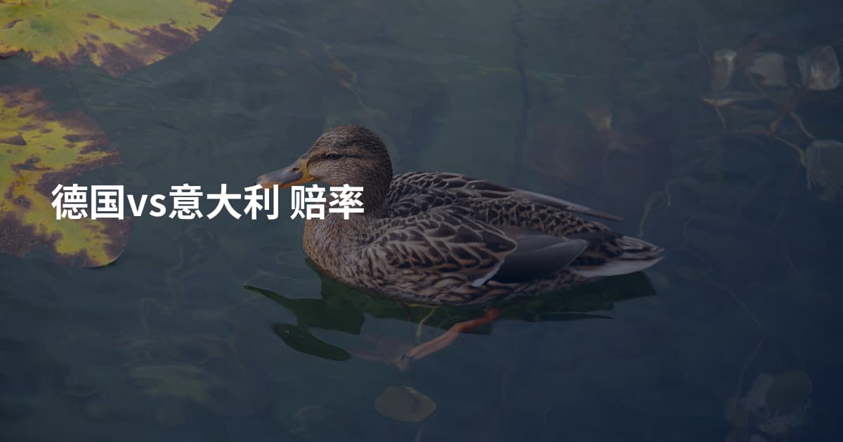 德国vs意大利 赔率