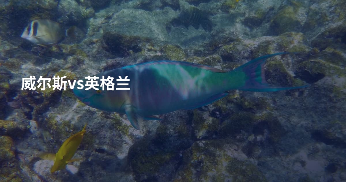 威尔斯vs英格兰
