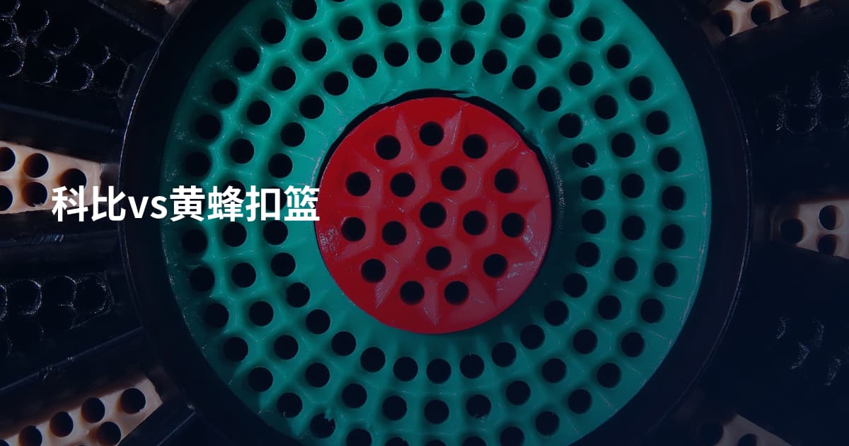 科比vs黄蜂扣篮