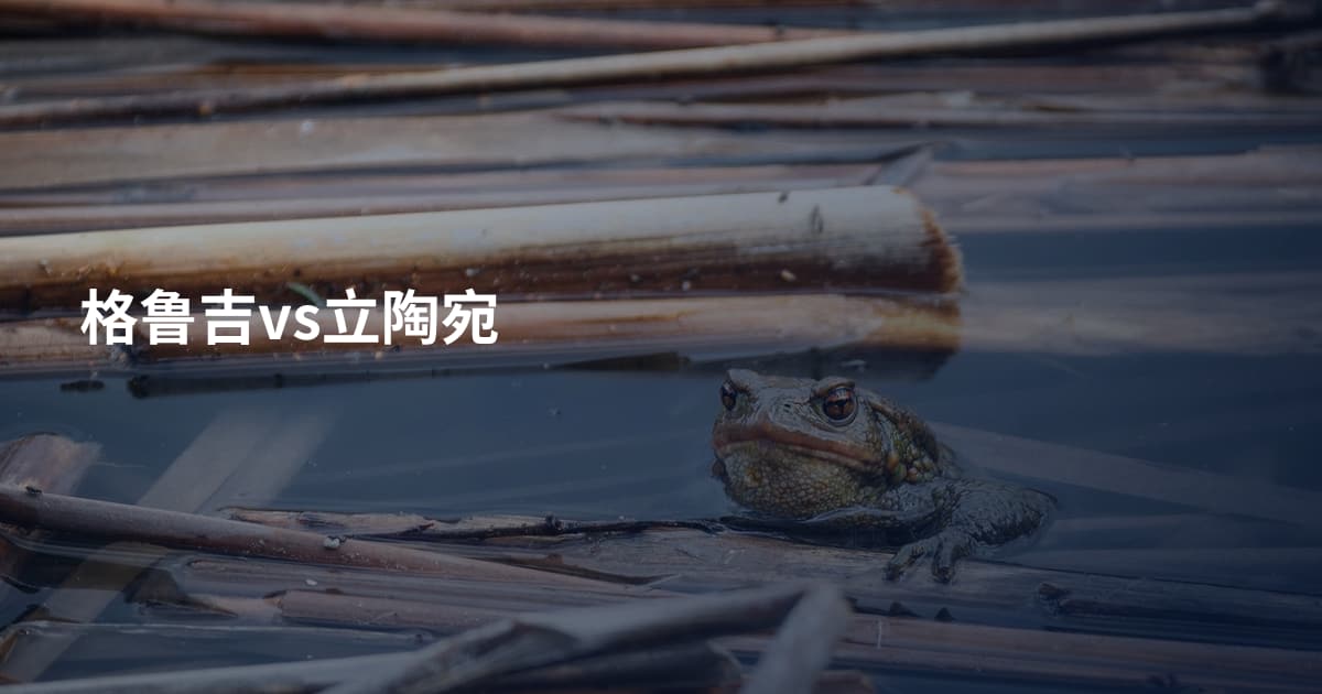 格鲁吉vs立陶宛