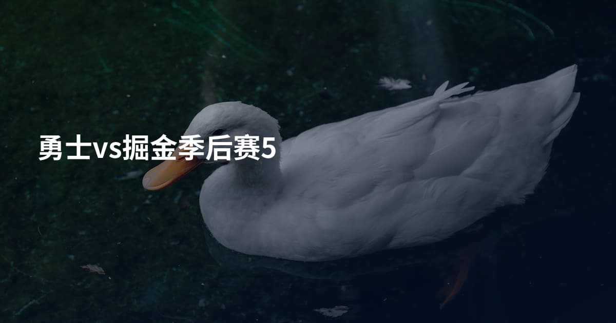 勇士vs掘金季后赛5