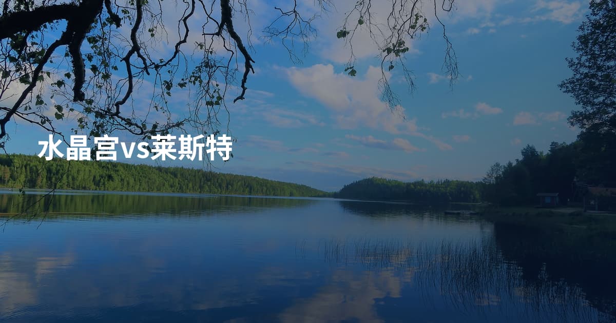 水晶宫vs莱斯特