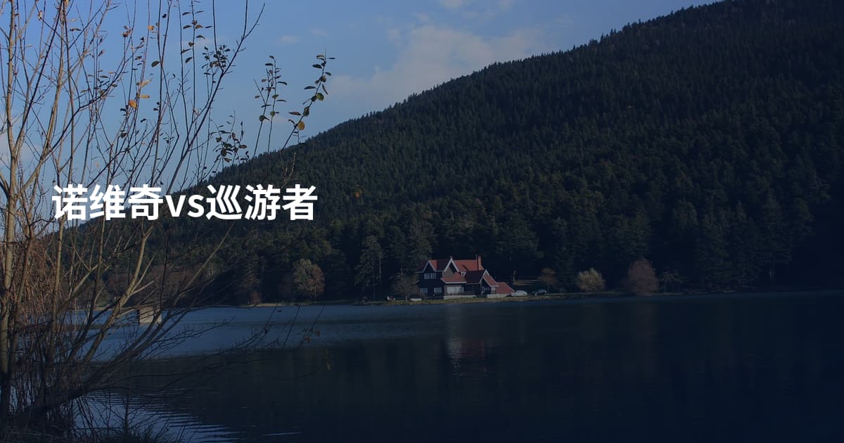 诺维奇vs巡游者