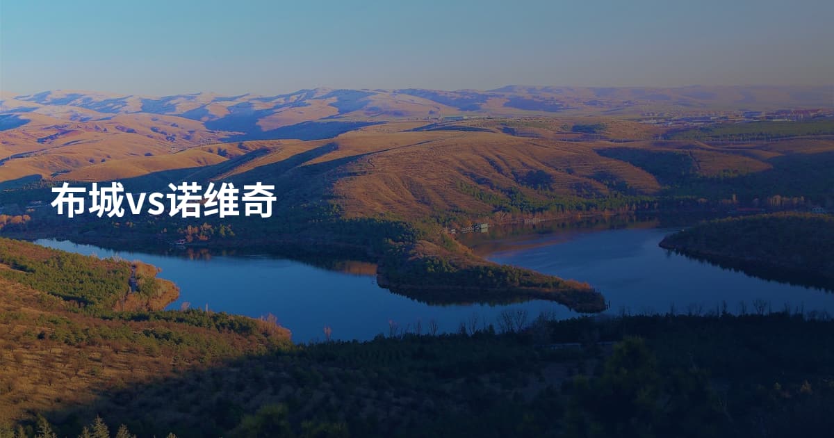 布城vs诺维奇