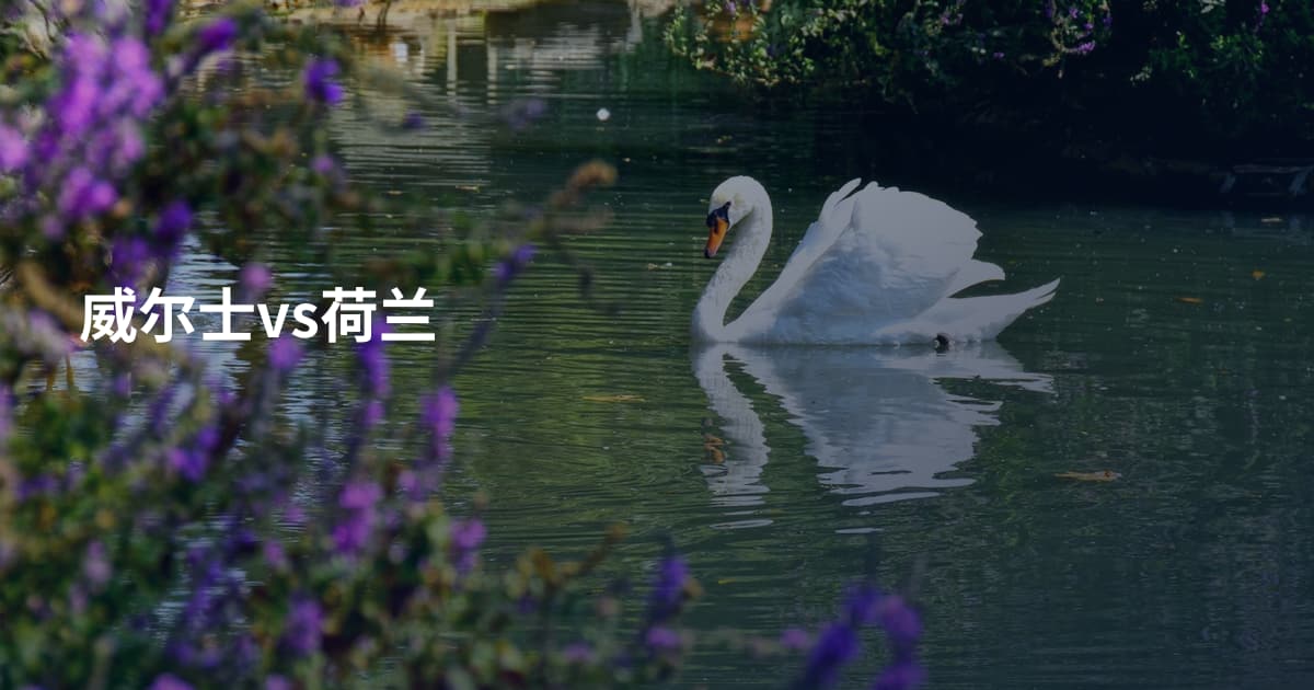 威尔士vs荷兰