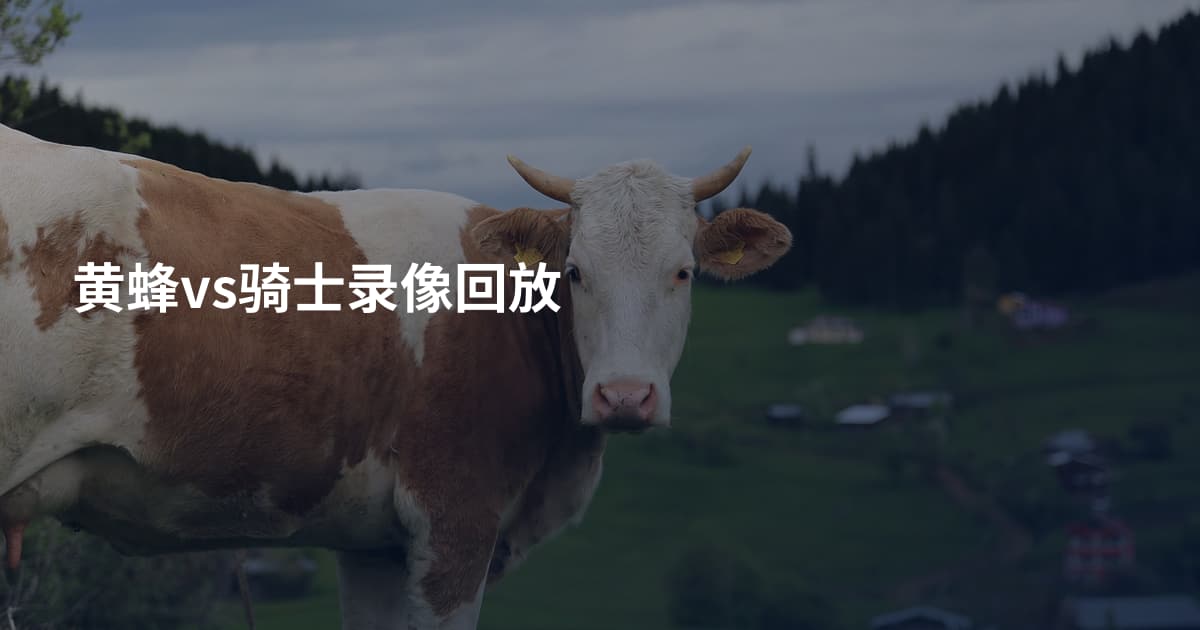 黄蜂vs骑士录像回放