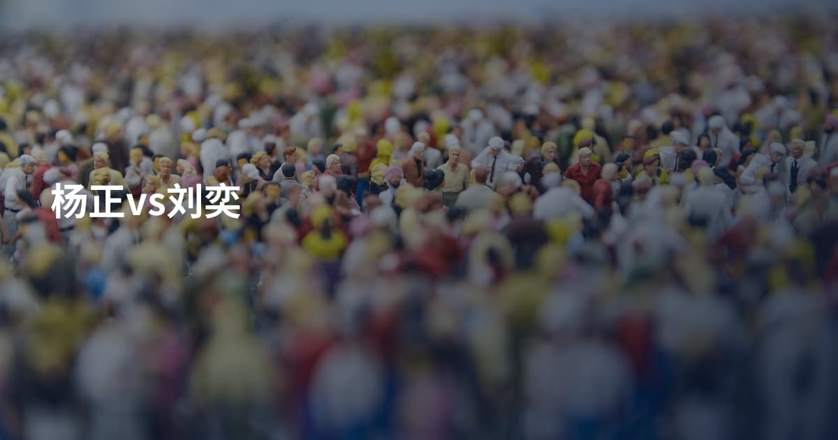 杨正vs刘奕