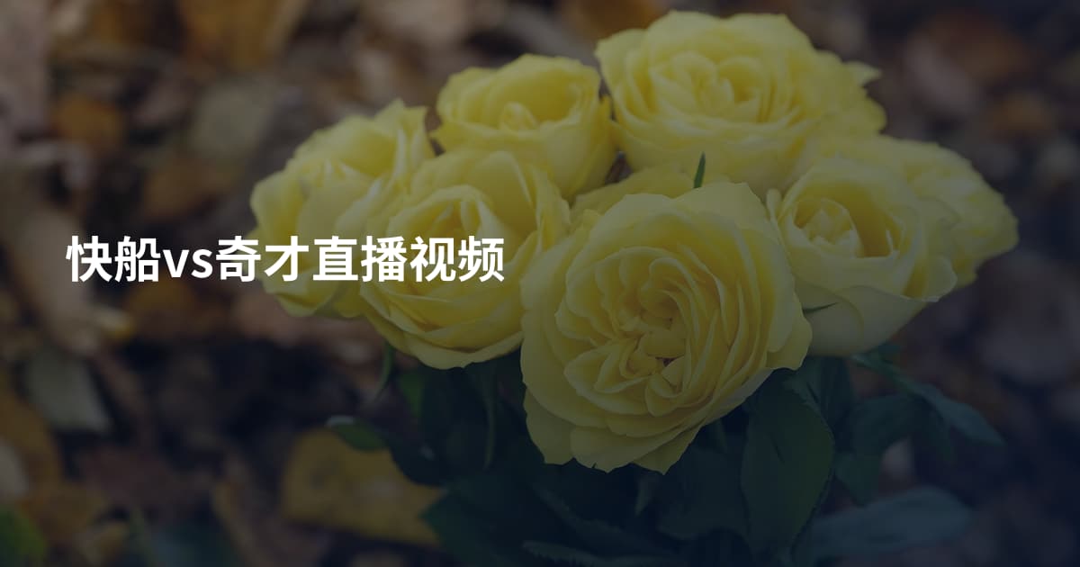快船vs奇才直播视频
