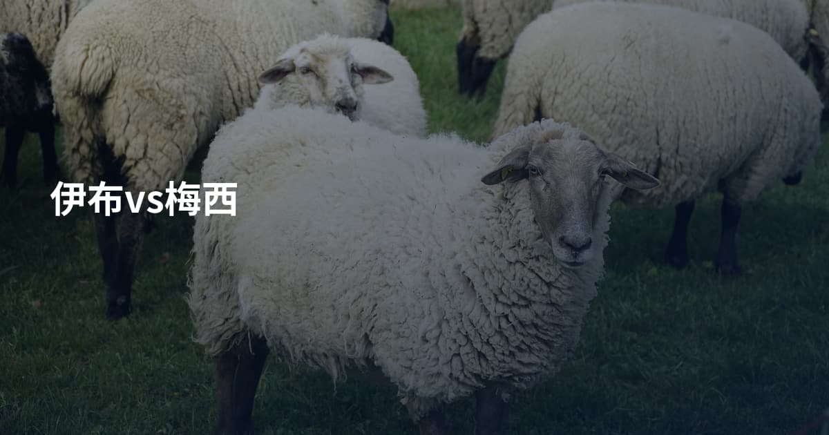 伊布vs梅西