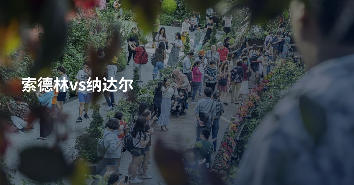 索德林vs纳达尔