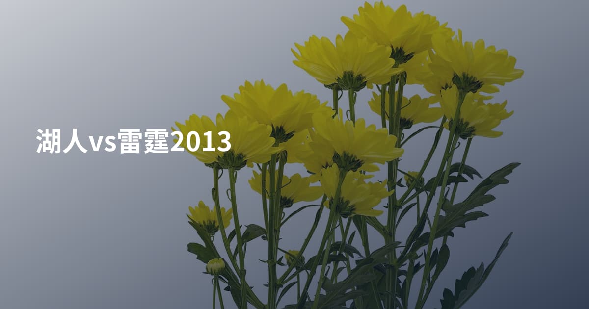 湖人vs雷霆2013