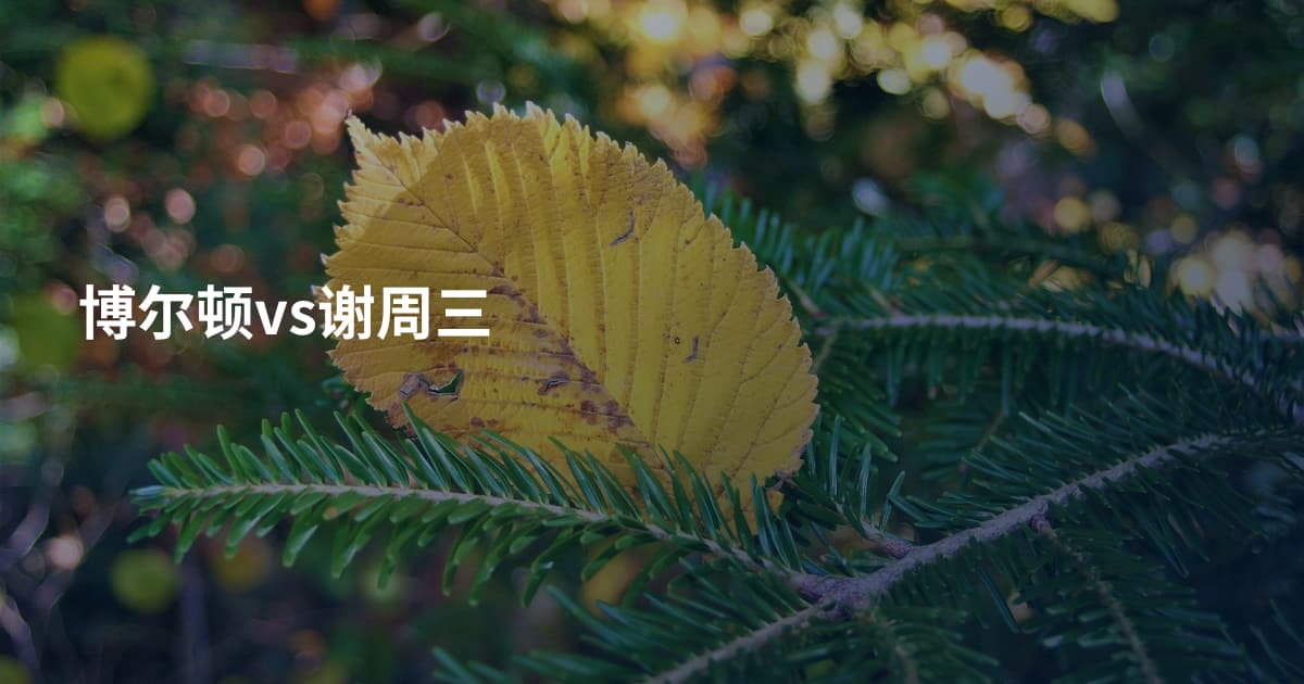 博尔顿vs谢周三