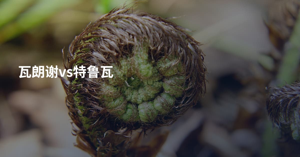 瓦朗谢vs特鲁瓦