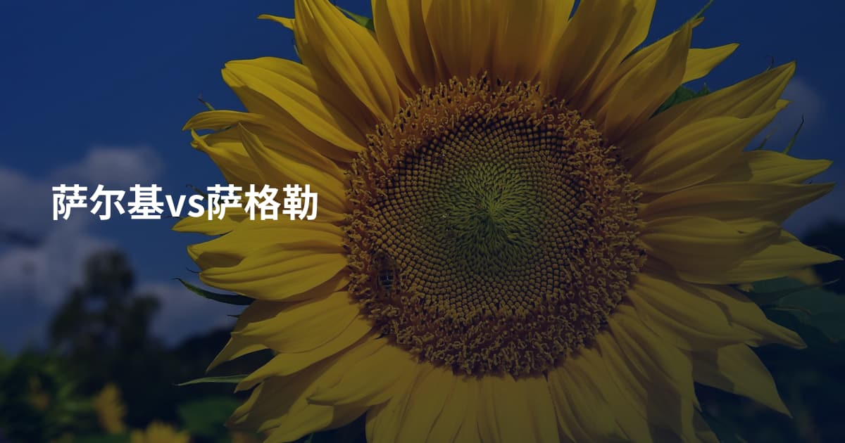 萨尔基vs萨格勒