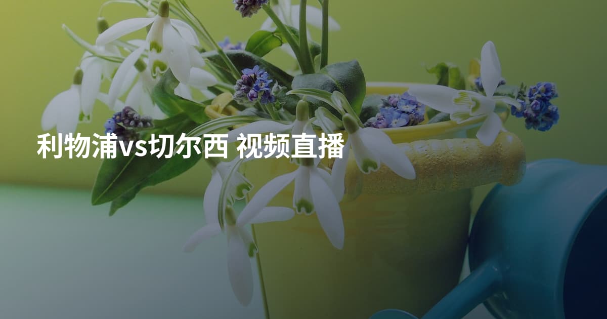 利物浦vs切尔西 视频直播