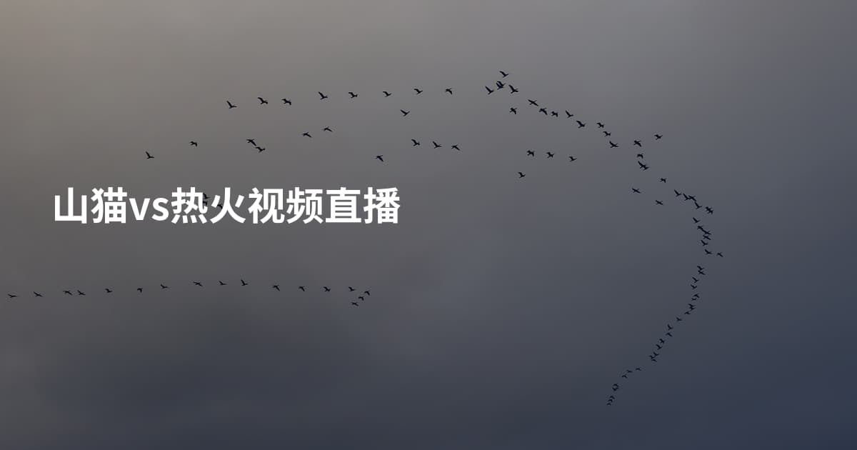 山猫vs热火视频直播