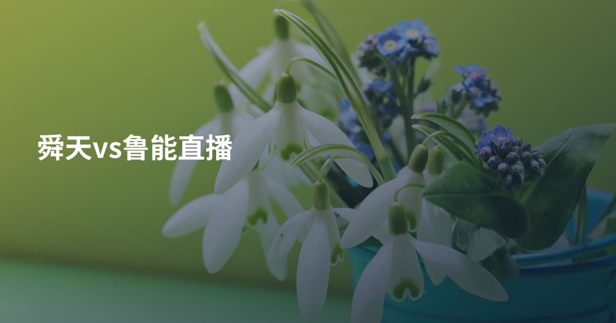 舜天vs鲁能直播