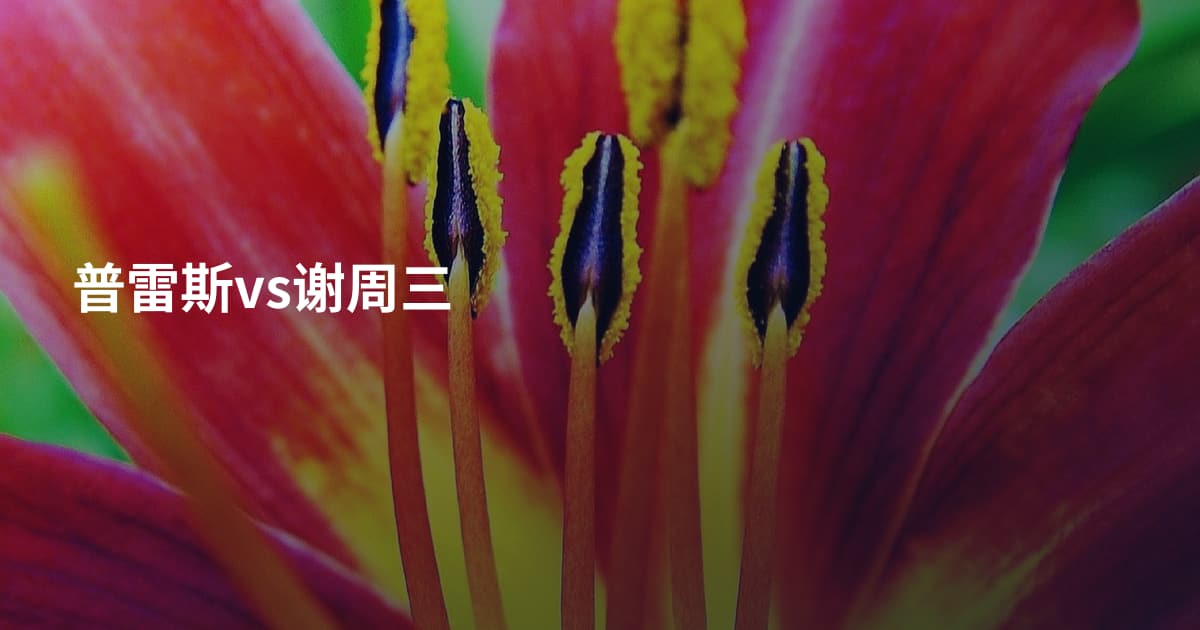 普雷斯vs谢周三
