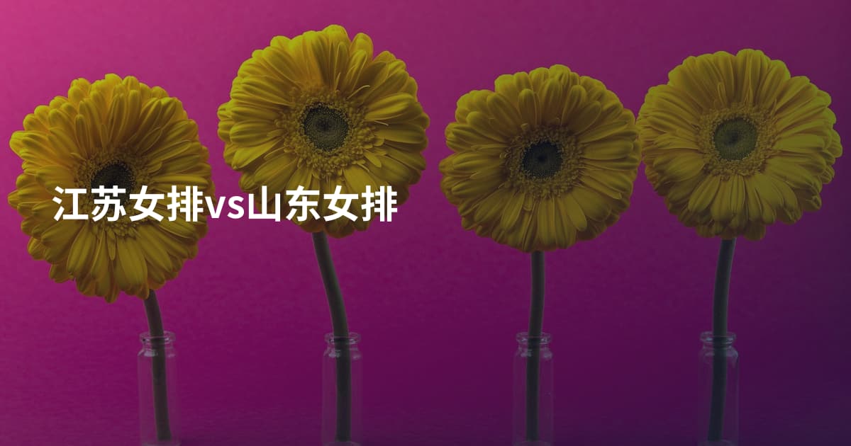 江苏女排vs山东女排