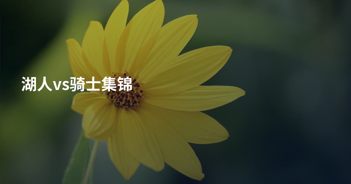 湖人vs骑士集锦