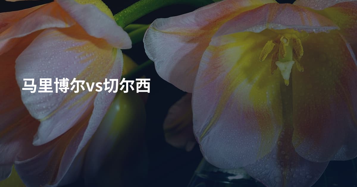 马里博尔vs切尔西