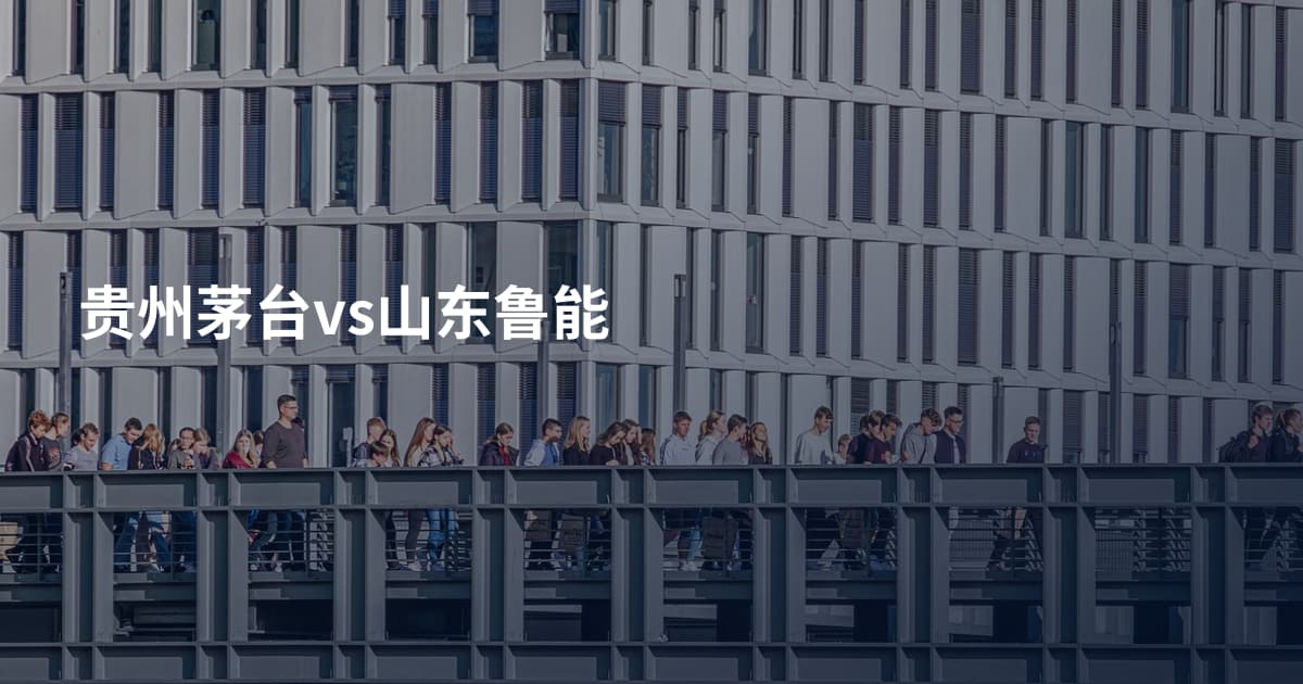 贵州茅台vs山东鲁能