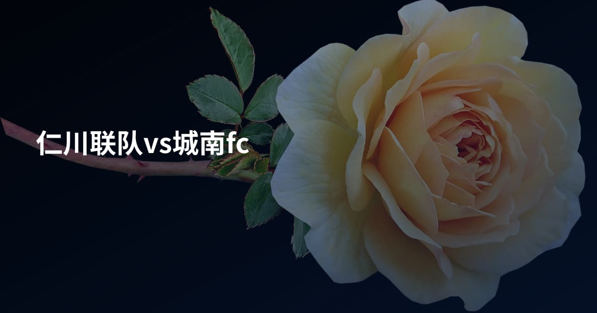 仁川联队vs城南fc