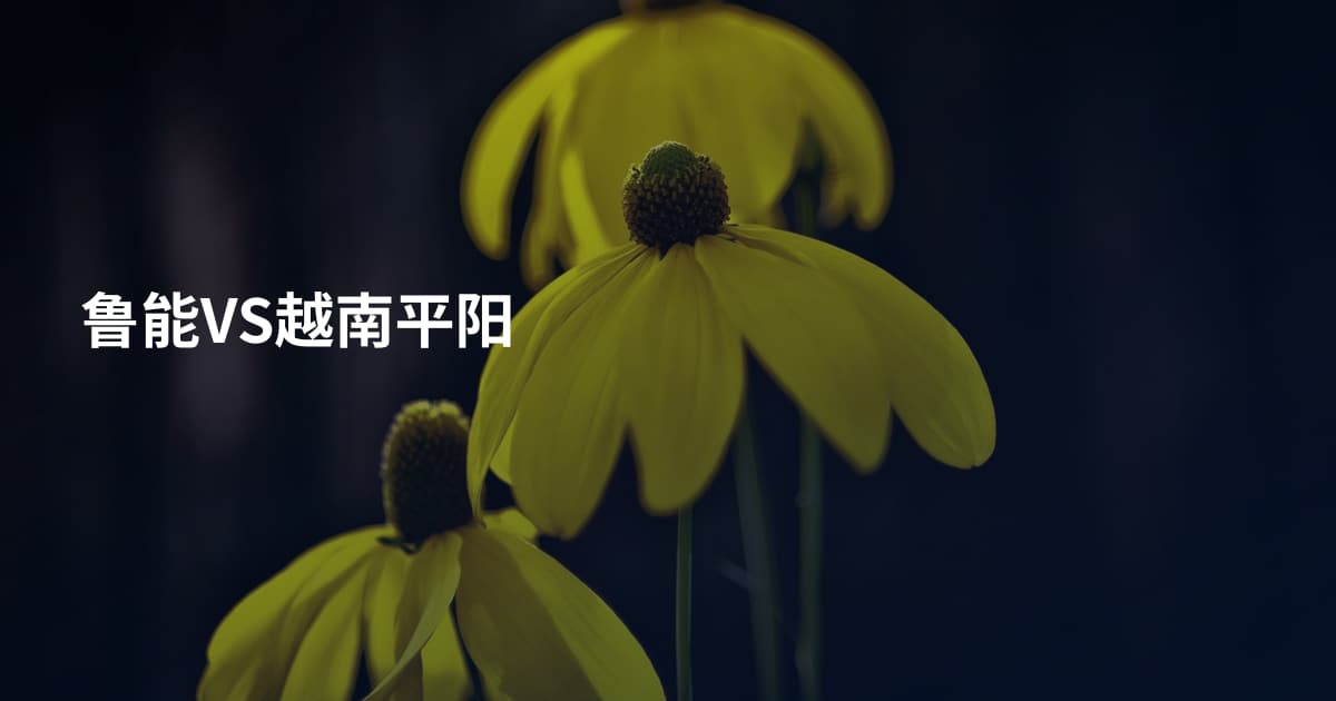 鲁能VS越南平阳