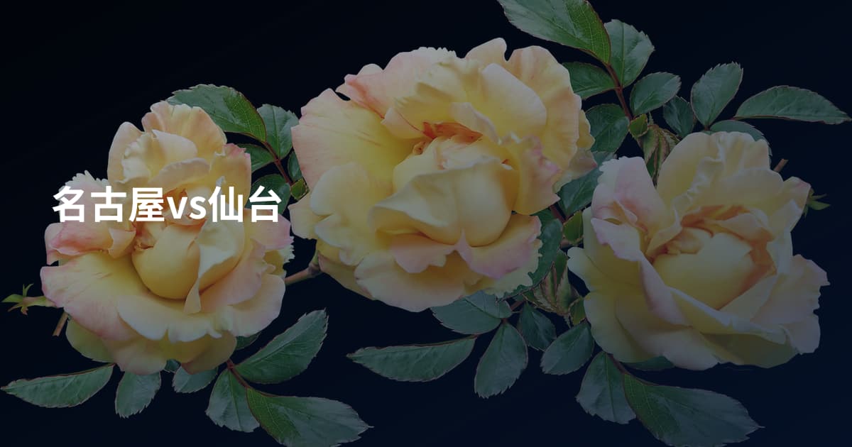 名古屋vs仙台