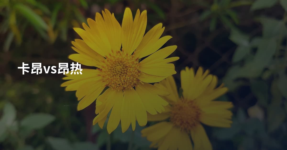 卡昂vs昂热