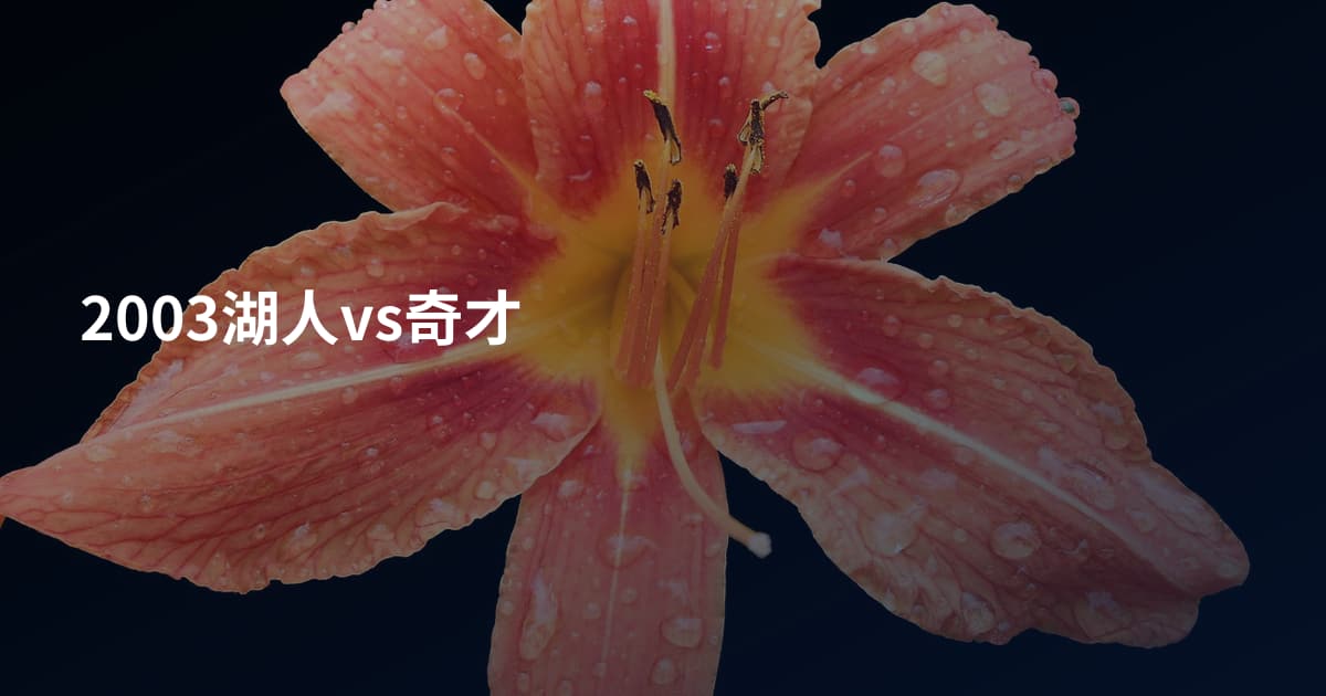 2003湖人vs奇才