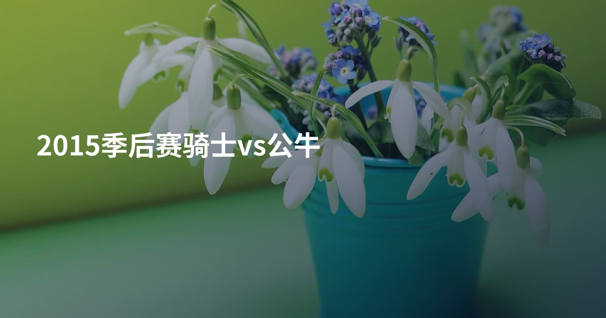 2015季后赛骑士vs公牛