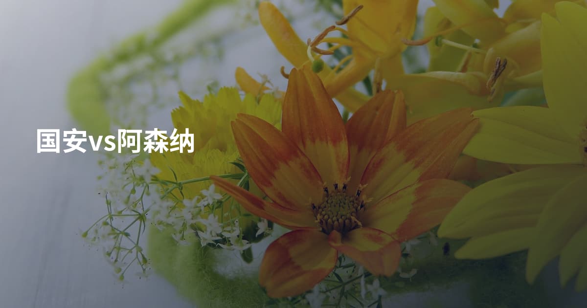 国安vs阿森纳