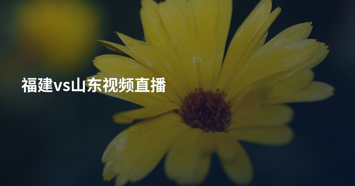 福建vs山东视频直播