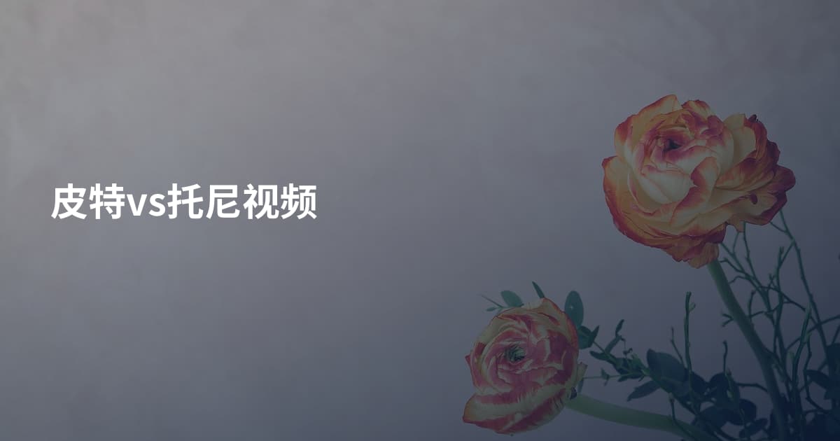 皮特vs托尼视频